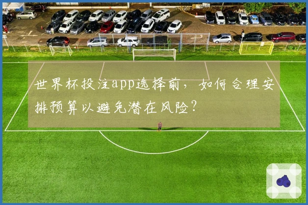 世界杯投注app选择前，如何合理安排预算以避免潜在风险？