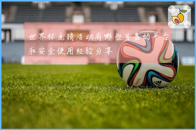 世界杯竞猜活动有哪些可靠的平台和安全使用经验分享