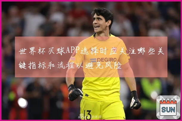 世界杯买球APP选择时应关注哪些关键指标和流程以避免风险