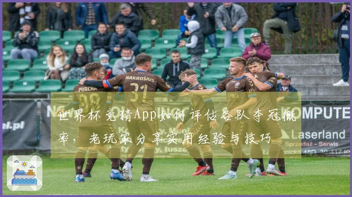 世界杯竞猜App如何评估各队夺冠概率,老玩家分享实用经验与技巧