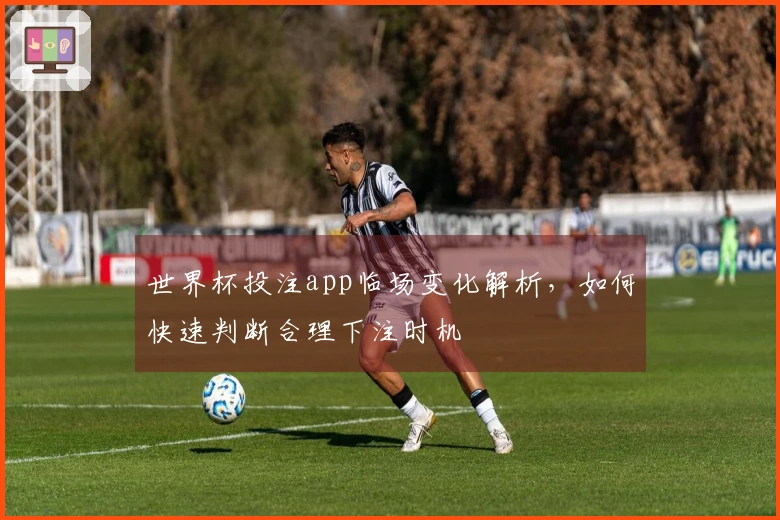世界杯投注app临场变化解析,如何快速判断合理下注时机