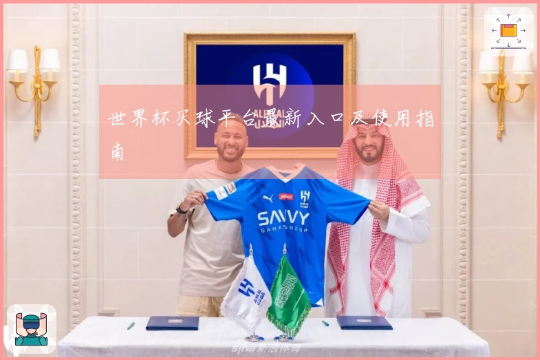 世界杯买球平台最新入口及使用指南