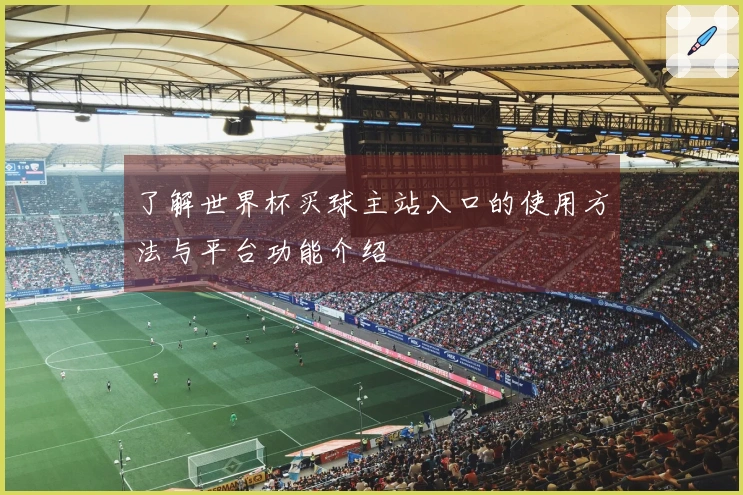 了解世界杯买球主站入口的使用方法与平台功能介绍