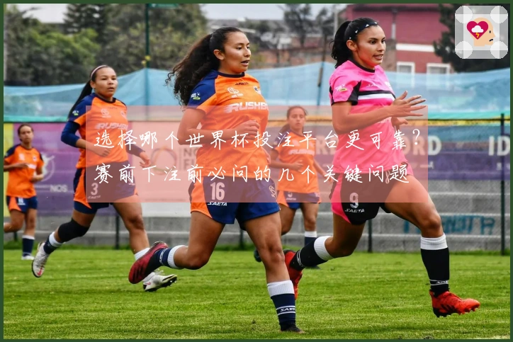 选择哪个世界杯投注平台更可靠？赛前下注前必问的几个关键问题