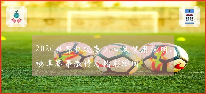 2026世界杯观赛入口及使用说明，畅享赛事激情与精彩瞬间