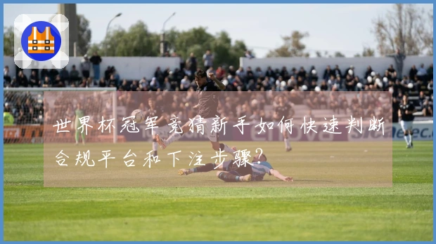 世界杯冠军竞猜新手如何快速判断合规平台和下注步骤?
