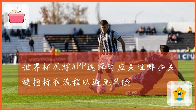 世界杯买球APP选择时应关注哪些关键指标和流程以避免风险