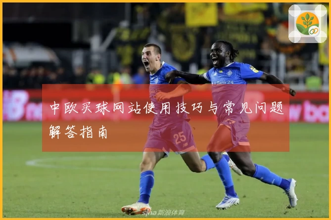 中欧买球网站使用技巧与常见问题解答指南